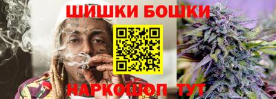 индика Ставрополь