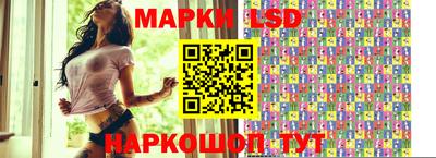 индика Ставрополь