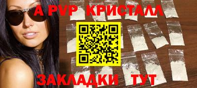 индика Ставрополь