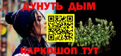 индика Ставрополь
