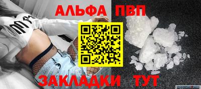 индика Ставрополь