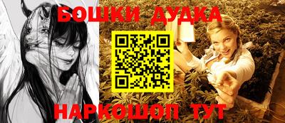 индика Ставрополь