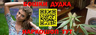 индика Ставрополь