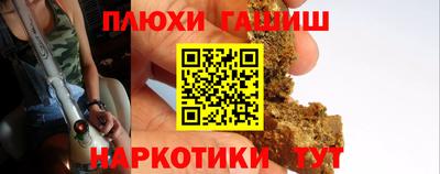 индика Ставрополь