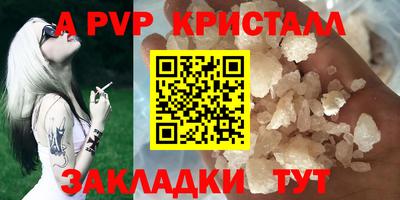 индика Ставрополь