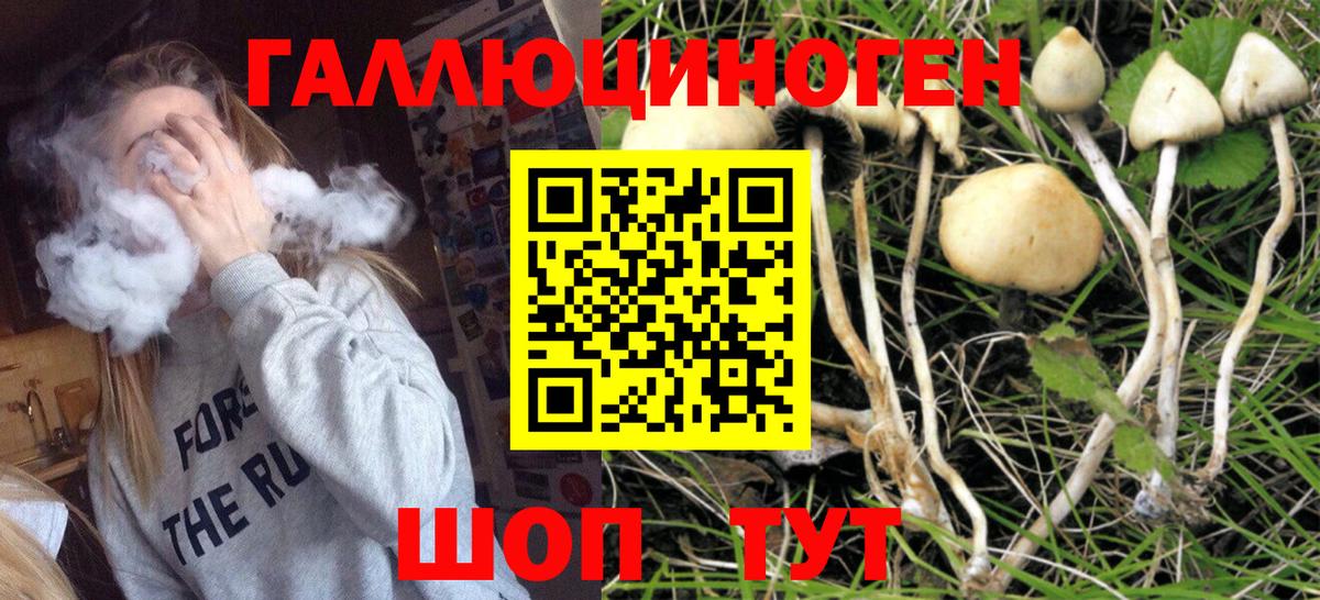 Псилоцибиновые грибы ЛСД Орск